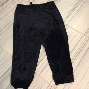 Anthropologie navy velour joggers NWT L